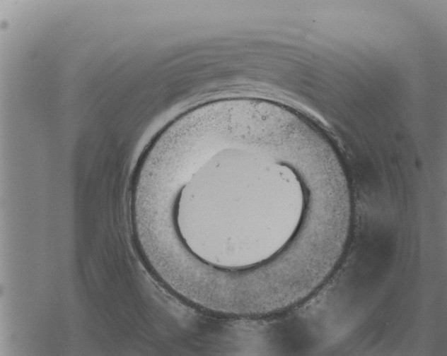 X0000068821514200605121303