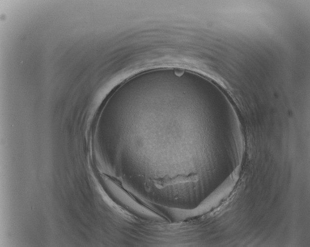 X0000068821515200605121303