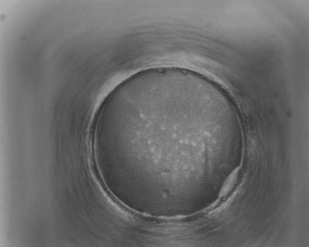 X0000068821517200605121303