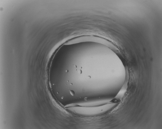 X0000068821518200605121303