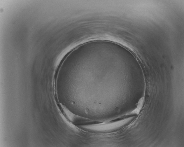 X0000068821519200605121303