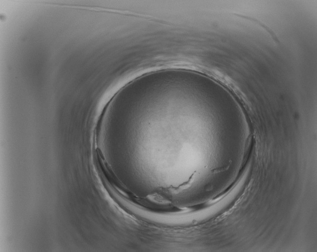 X0000068821520200605121303