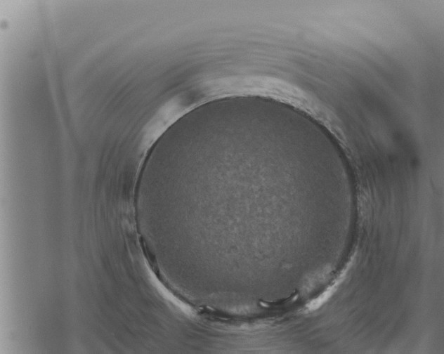 X0000068821521200605121303