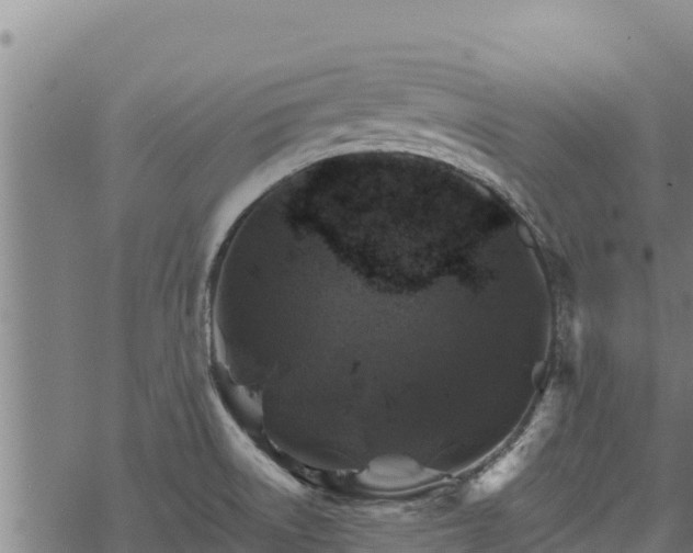 X0000068821522200605121303