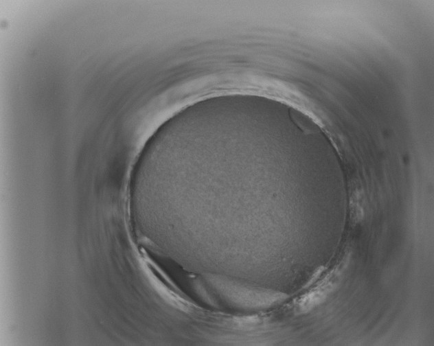 X0000068821523200605121303