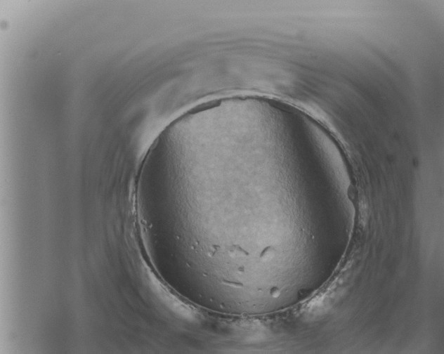 X0000068821524200605121303