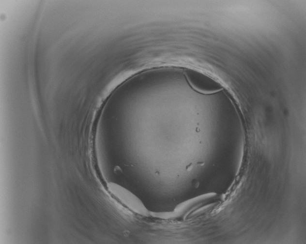 X0000068821525200605121303