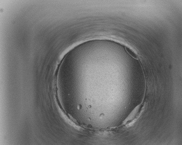 X0000068821526200605121303