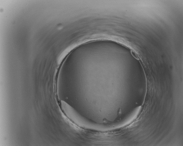 X0000068821527200605121303