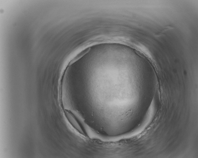 X0000068821528200605121303