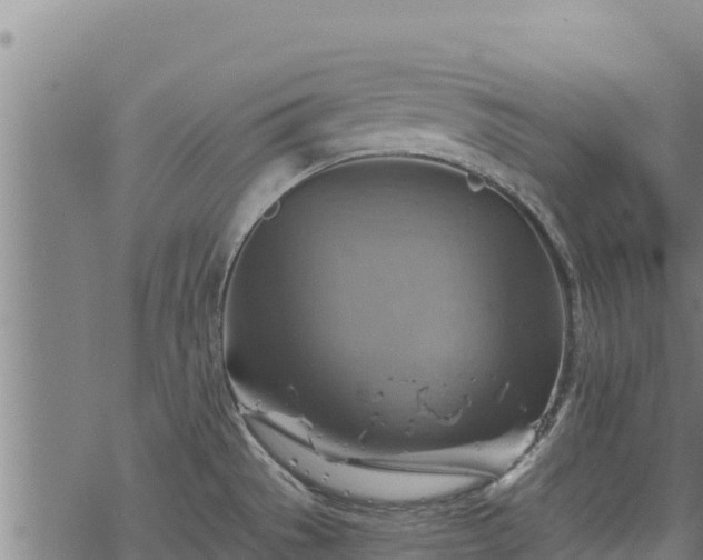 X0000068821529200605121303