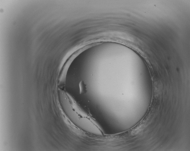 X0000068821530200605121303