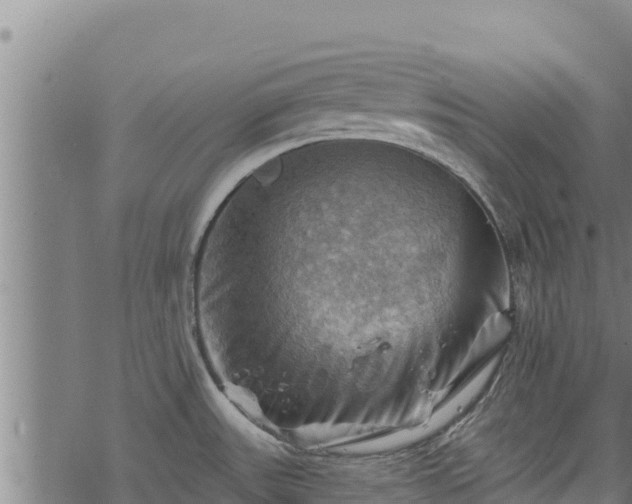 X0000068821531200605121303