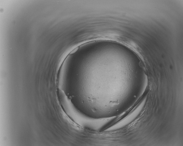 X0000068821532200605121303