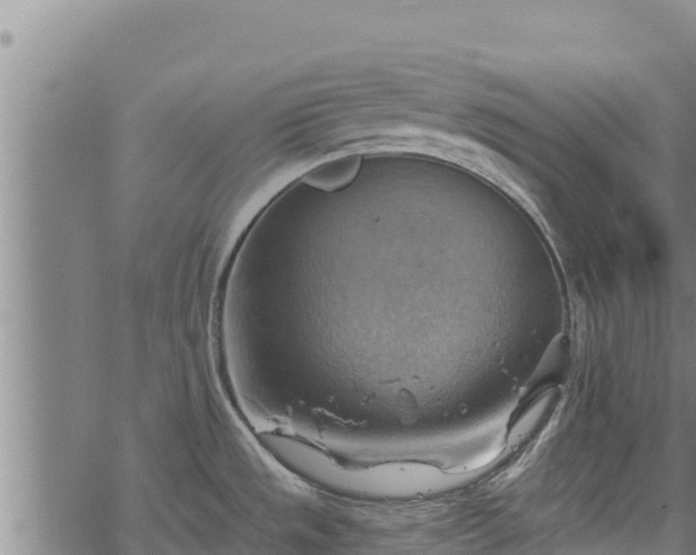 X0000068821533200605121303