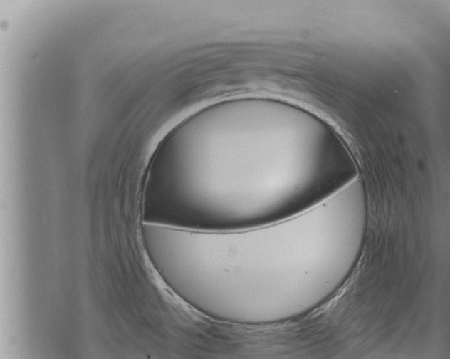 X0000068821534200605121303