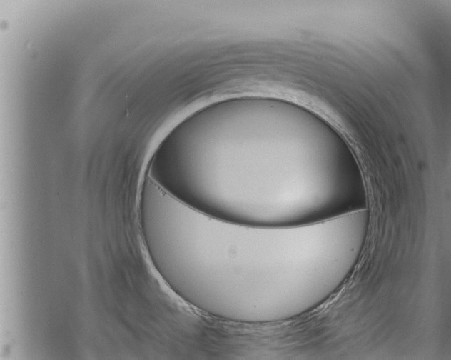 X0000068821536200605121303