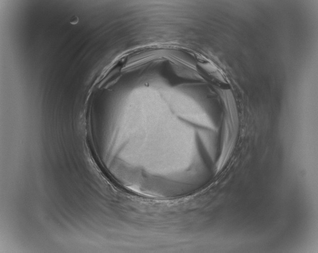 X0000068820002200605191845