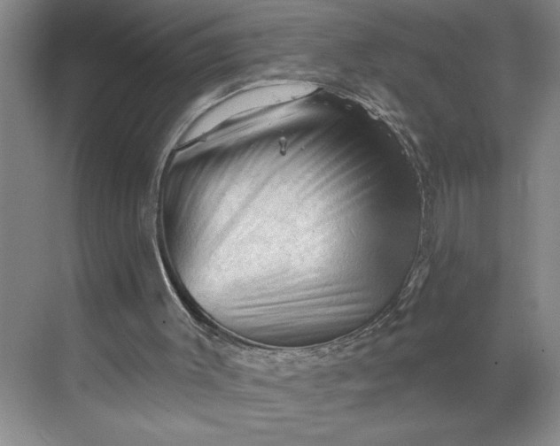 X0000068820003200605191845