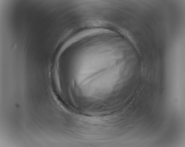 X0000068820010200605191845