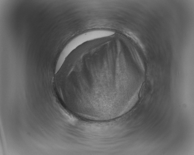 X0000068820017200605191845