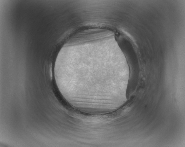 X0000068820020200605191845