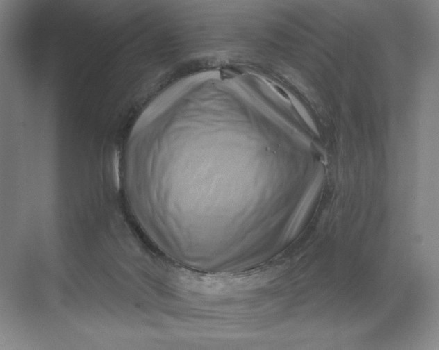 X0000068820022200605191845