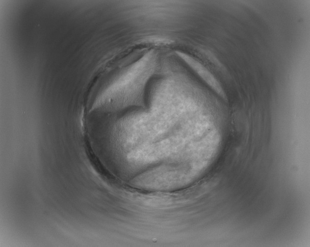 X0000068820024200605191845