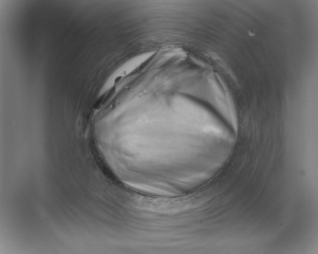 X0000068820026200605191845
