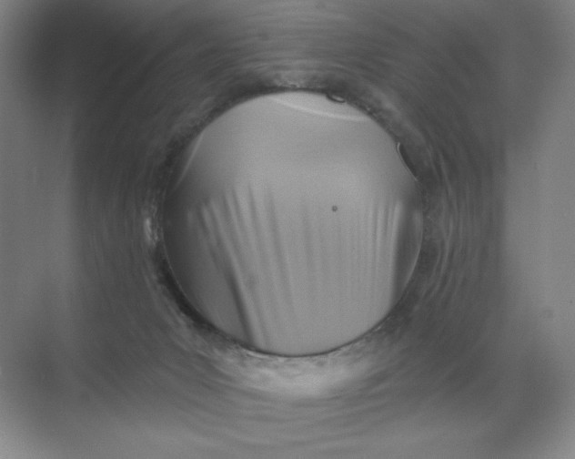 X0000068820031200605191844