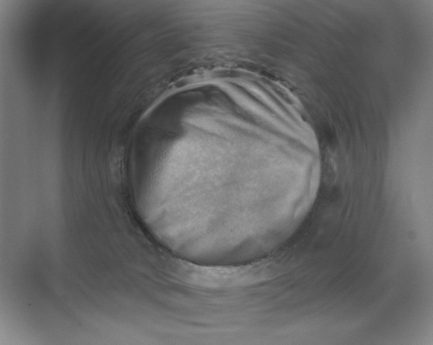 X0000068820034200605191844