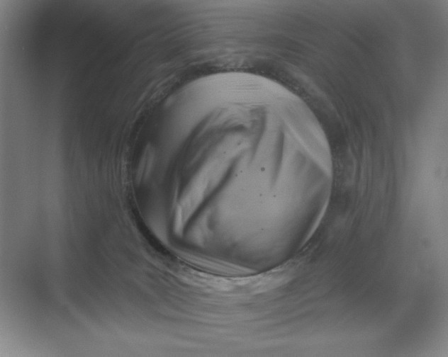 X0000068820035200605191844