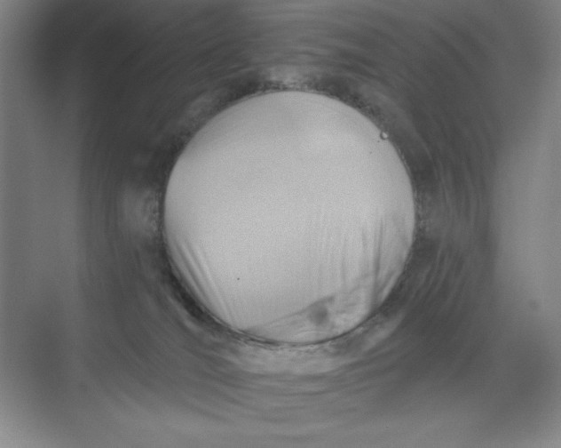 X0000068820036200605191844