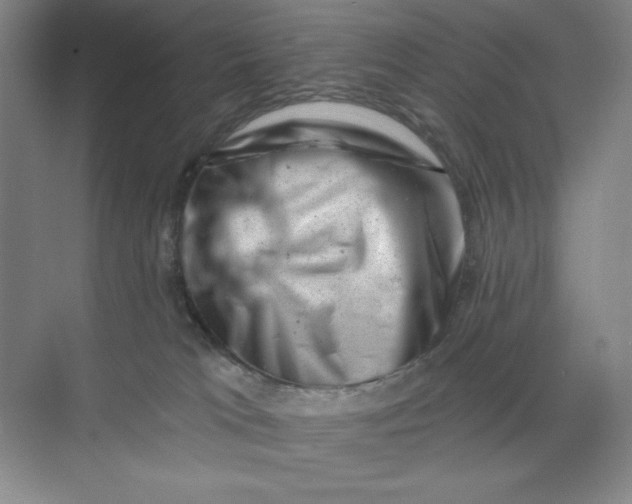 X0000068820037200605191844