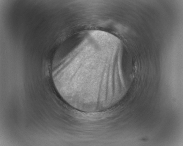 X0000068820038200605191844