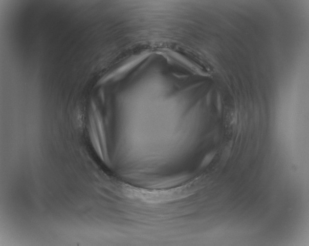 X0000068820039200605191844