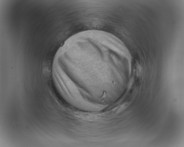 X0000068820040200605191844