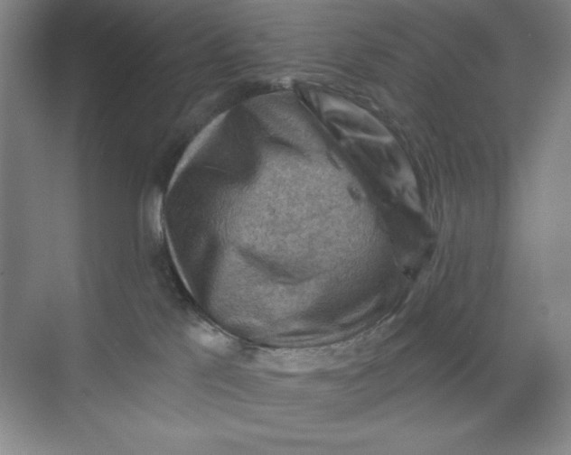 X0000068820041200605191844