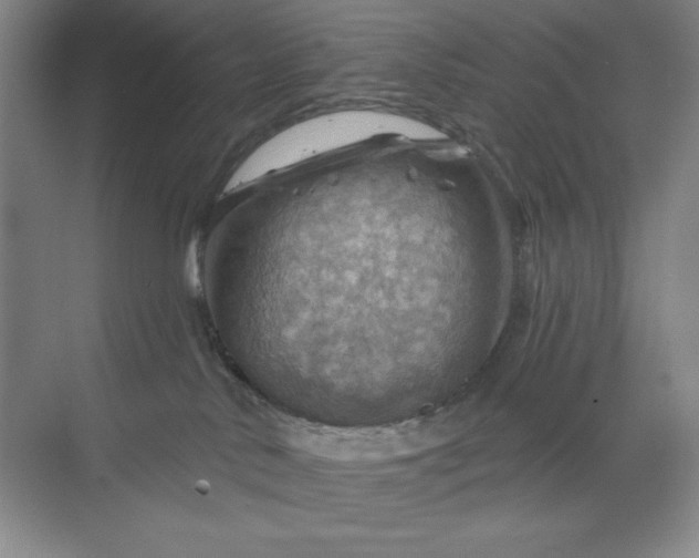 X0000068820042200605191844