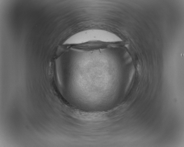 X0000068820044200605191844