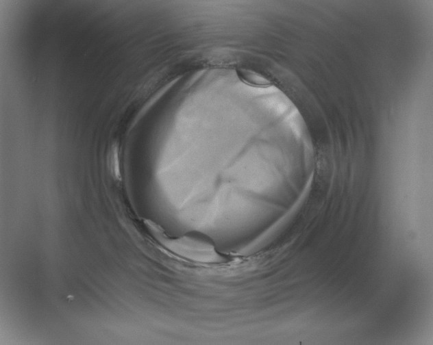 X0000068820046200605191844