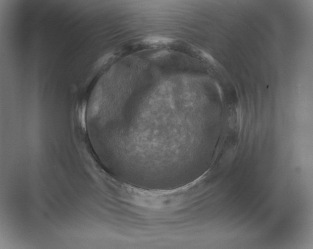 X0000068820047200605191844