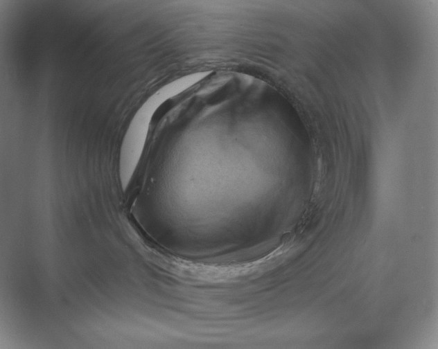 X0000068820048200605191844