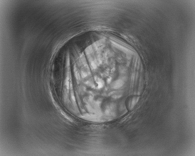 X0000068820049200605191843