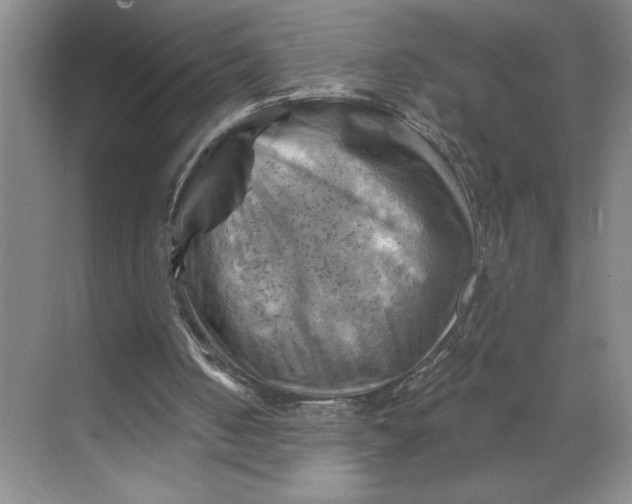 X0000068820050200605191843