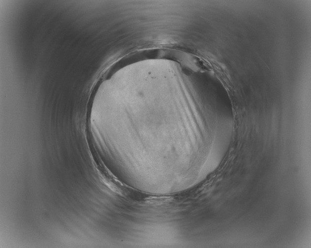 X0000068820051200605191843