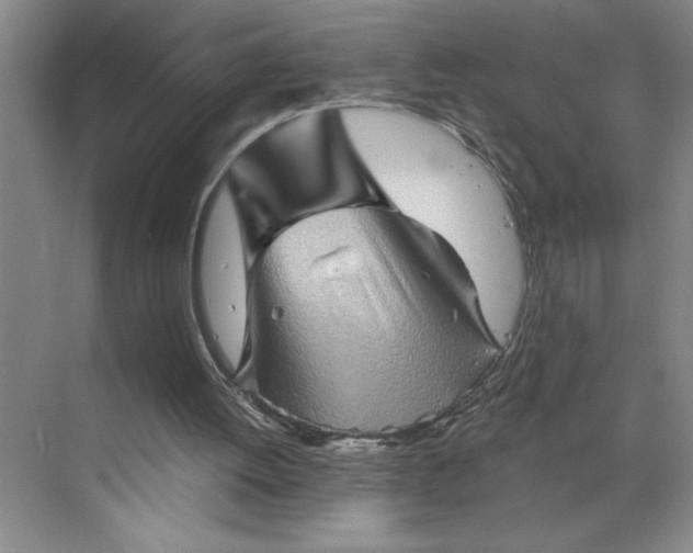 X0000068820052200605191843