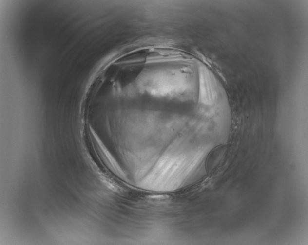 X0000068820053200605191843