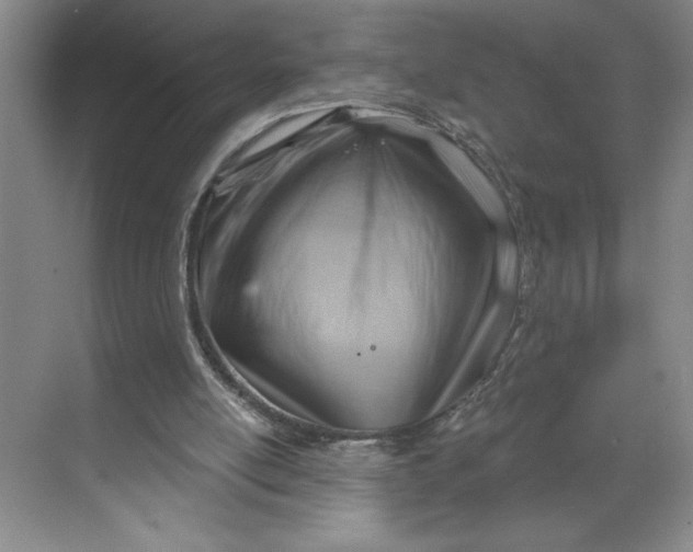 X0000068820054200605191843