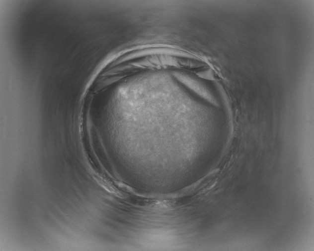 X0000068820056200605191844